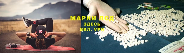 мяу мяу мука Верея