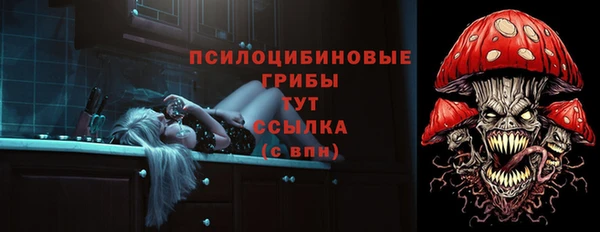 молекула духа Снежинск