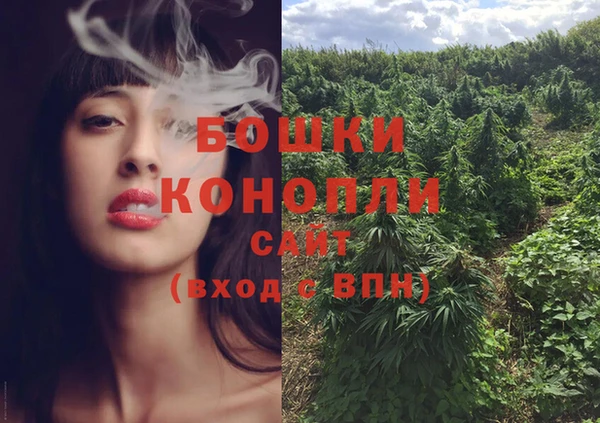 ECSTASY Горняк